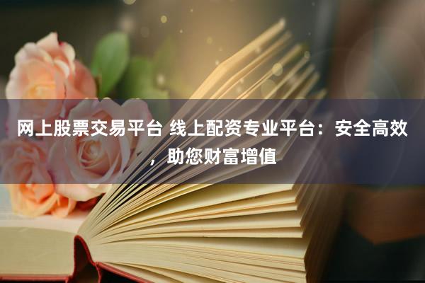 网上股票交易平台 线上配资专业平台：安全高效，助您财富增值
