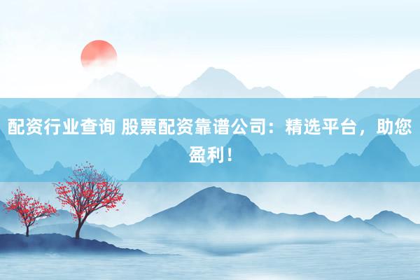 配资行业查询 股票配资靠谱公司：精选平台，助您盈利！