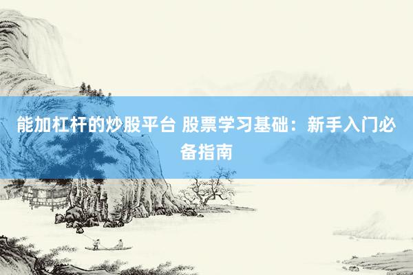 能加杠杆的炒股平台 股票学习基础：新手入门必备指南