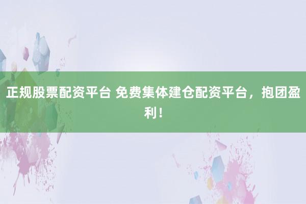 正规股票配资平台 免费集体建仓配资平台，抱团盈利！