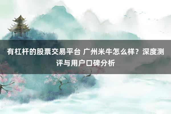 有杠杆的股票交易平台 广州米牛怎么样？深度测评与用户口碑分析