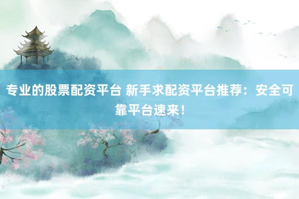 专业的股票配资平台 新手求配资平台推荐:安全可靠平台速来!