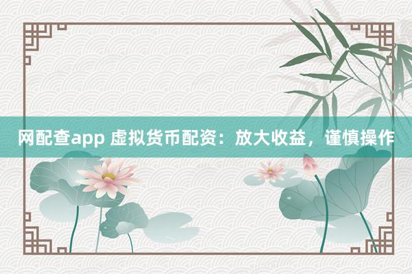 网配查app 虚拟货币配资：放大收益，谨慎操作