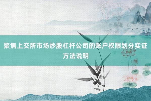 聚焦上交所市场炒股杠杆公司的账户权限划分实证方法说明