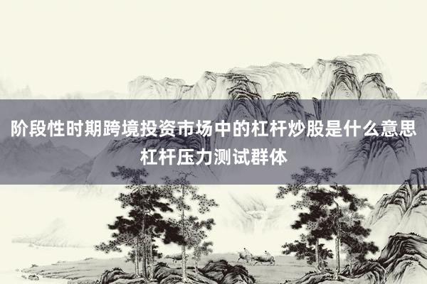 阶段性时期跨境投资市场中的杠杆炒股是什么意思杠杆压力测试群体